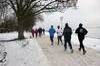 Bild 52