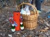 Bild 41