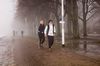 Bild 52