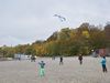 Bild 34