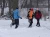 Bild 52